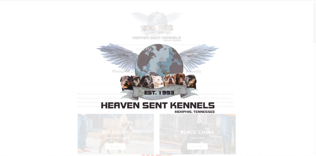 Protected: Heaven Sent Kennels